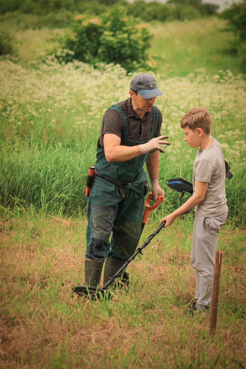 metal detector, searching metal, treasure, treasure hunter, field, meadow, metal detector, metal detector, metal detector, metal detector, metal detector